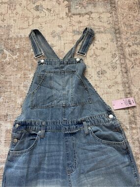 Wild Fable Denim Overalls